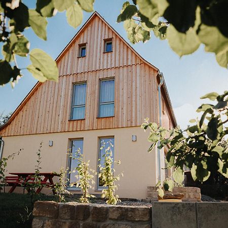 Ferienhaus Am Hoernchen Glashutte (Saxony) Exterior foto